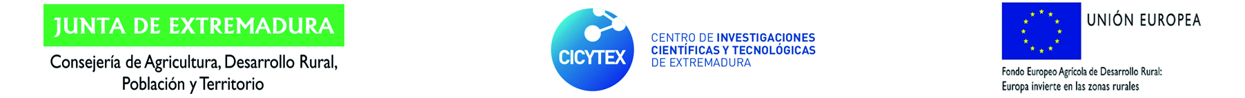 LOGO JUNTA DE EXTREMADURA - CICYTEX - UNION EUROPEA